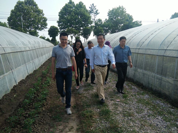 校纪委书记丁鹏带队赴高淳区驼头社区开展大走访活动