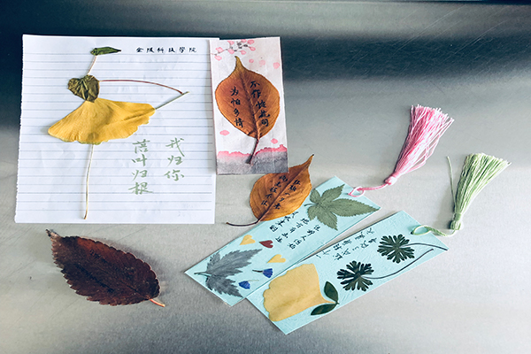 制作树叶书签有什么原理_制作书签有诗句图片(3)